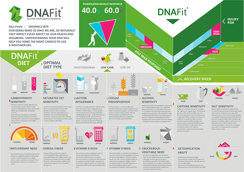 Example of DNAFit's analysis 