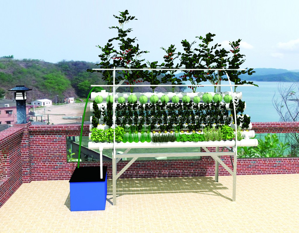 cmyk City Hydroponics