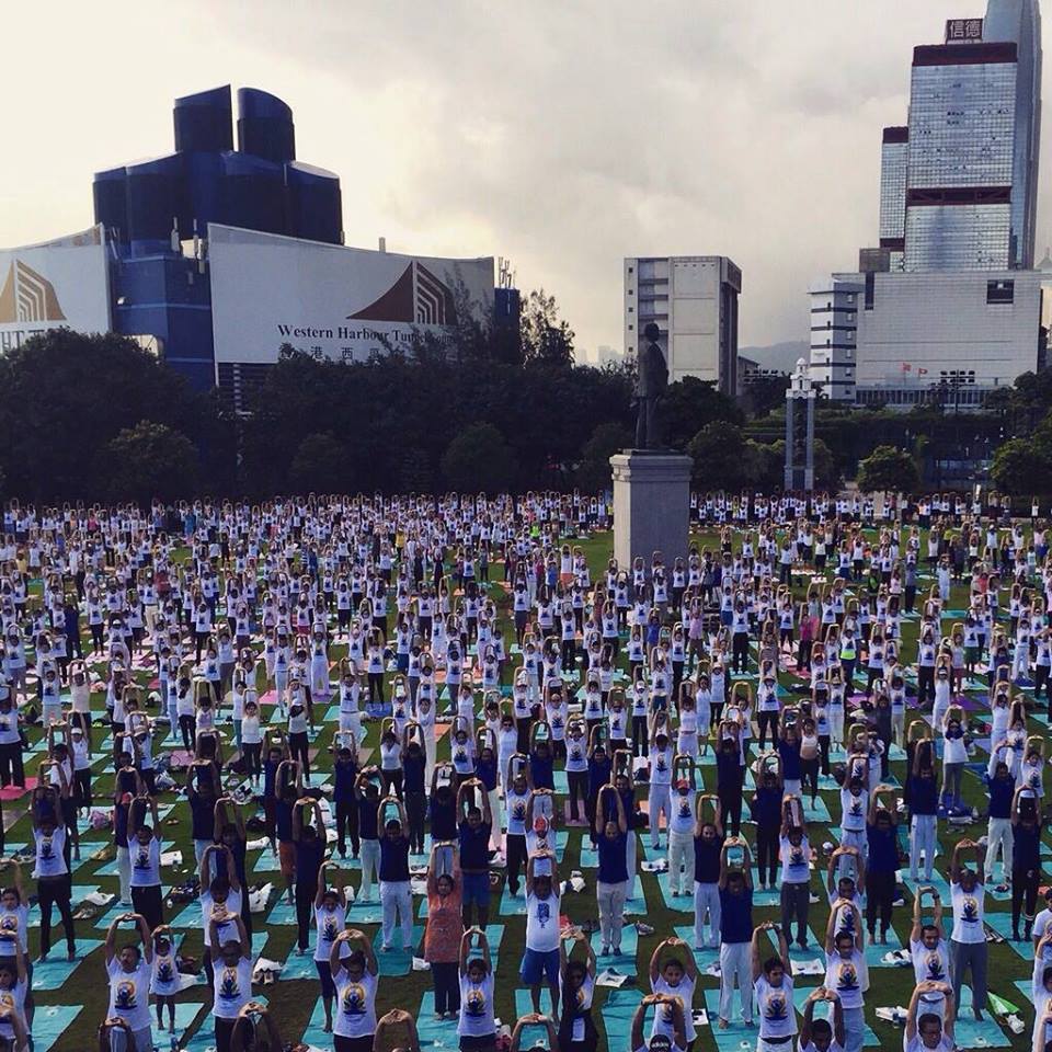 IDY 2015 pic 1