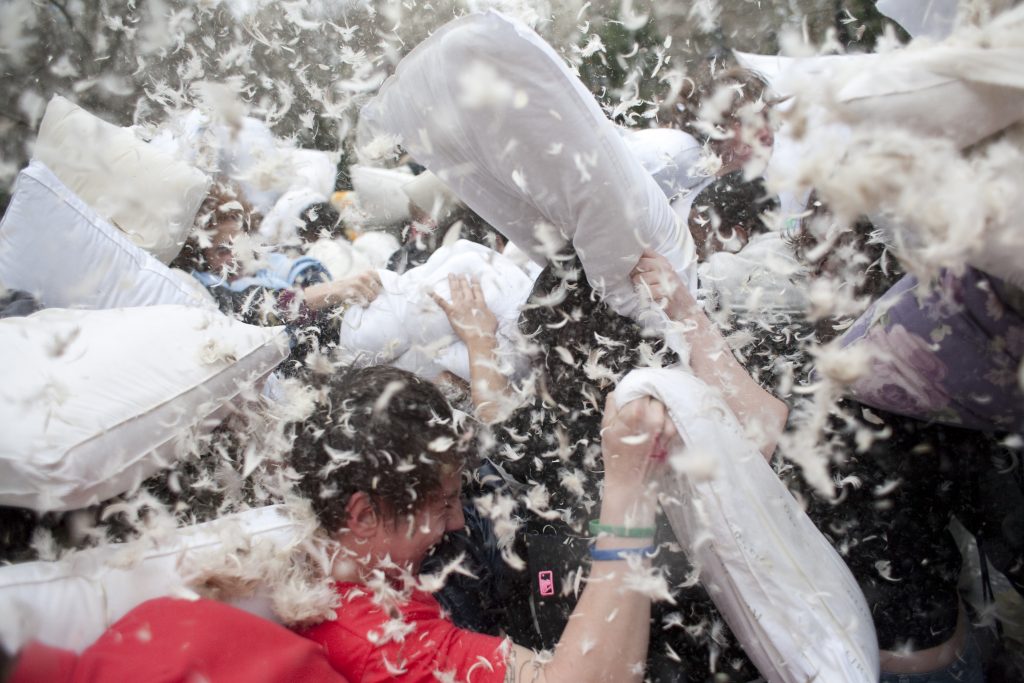 pillow fight day