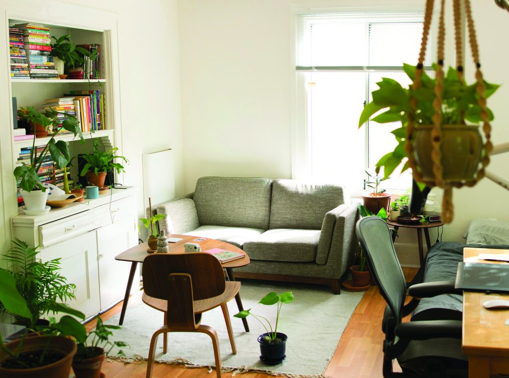 A living room decorated with plants.