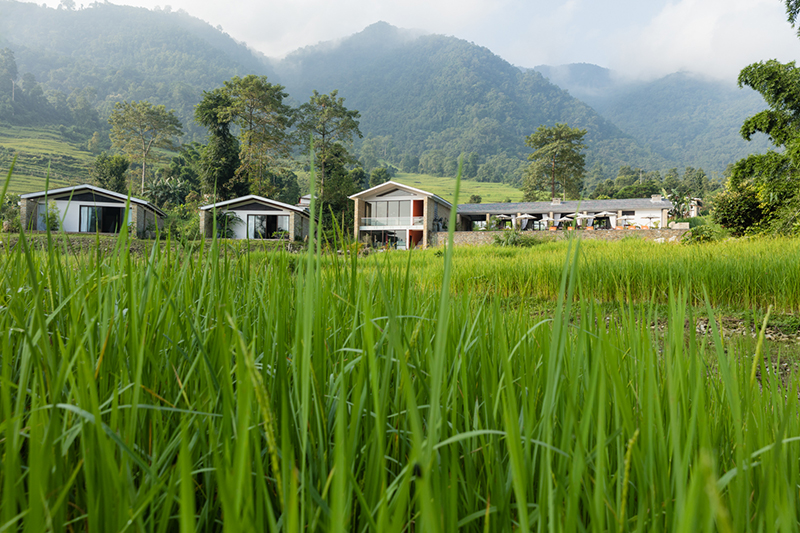 Several villas seen through long grass in the foothills of Nepal at a wellness retreat.