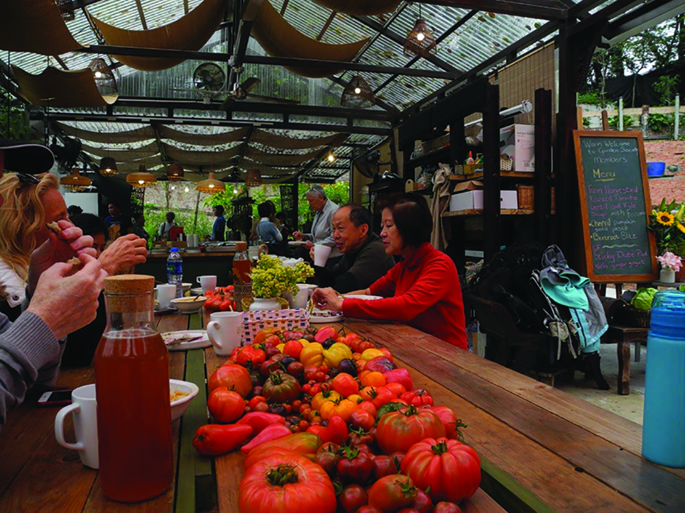 People sit around table at the Hong Kong Gardening Society Xmas Trawl, a wellness event in Hong Kong. 