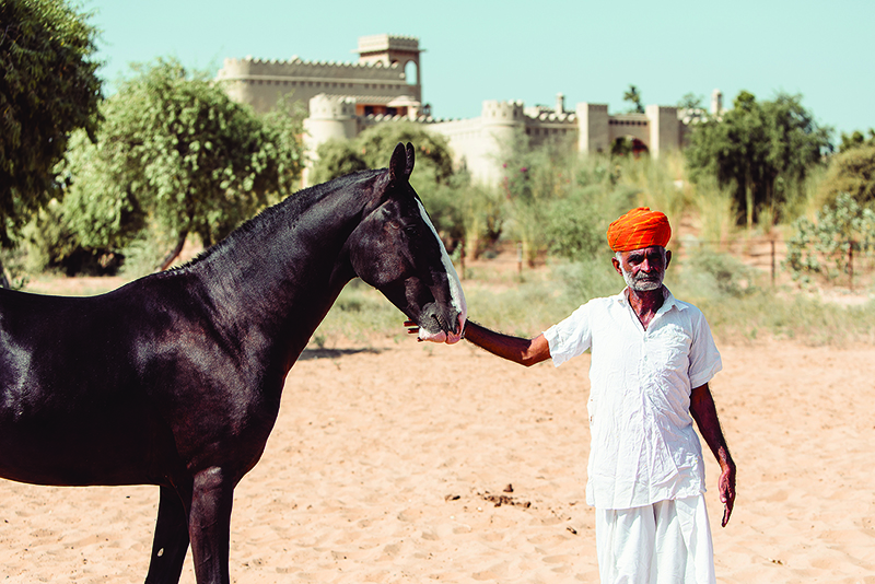 A man stands with a horse in India. India is a popular place for female solo travellers to go in Asia. 