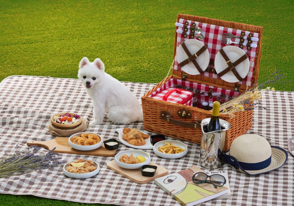 A white dog sits on a picnic blanket with a picnic at Peak Galleria, a pet friendly restaurant in Hong Kong