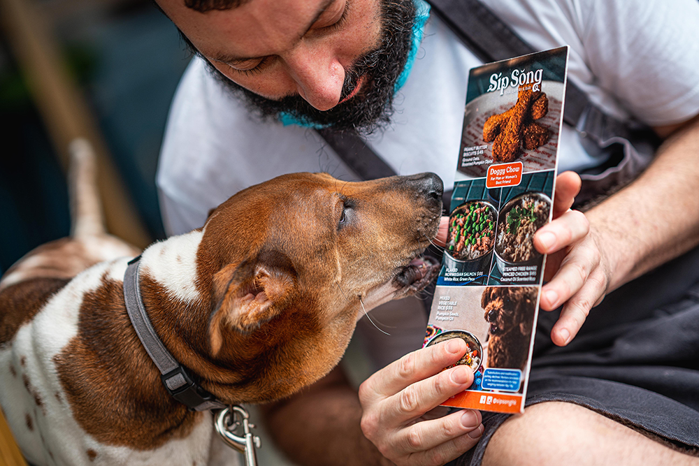 A dog licks a menu at Sip Song, a pet friendly restaurant in Hong Kong