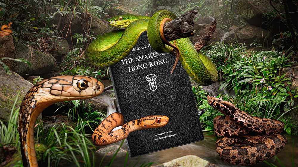 https://liv-magazine.com/wp-content/uploads/2021/05/A-Field-Guide-to-the-Snakes-of-Hong-Kong-Asia-Snakes-Field-guide-Asian-Snake-Speices-2-copy.jpg