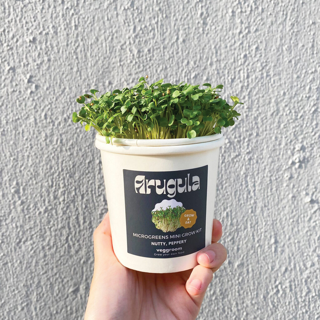 Microgreens Powder Seasoning -  Hong Kong