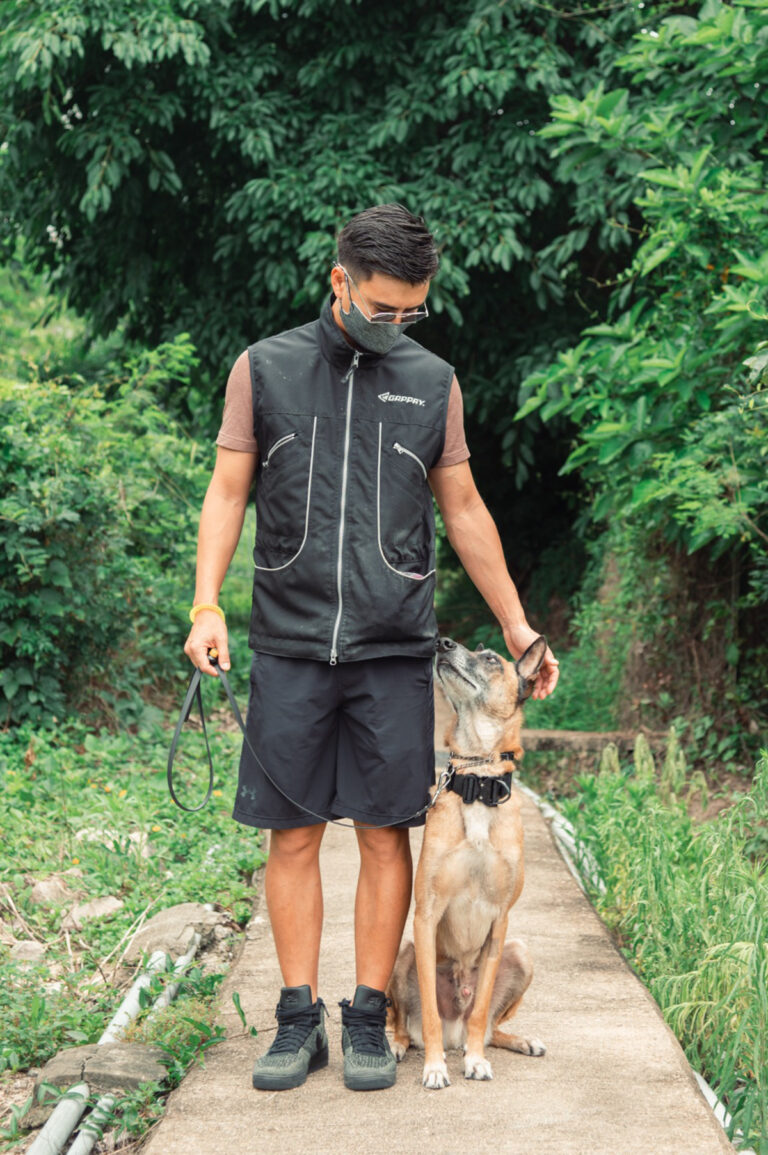 DogWalking Advice From a Hong Kong Dog Trainer Liv